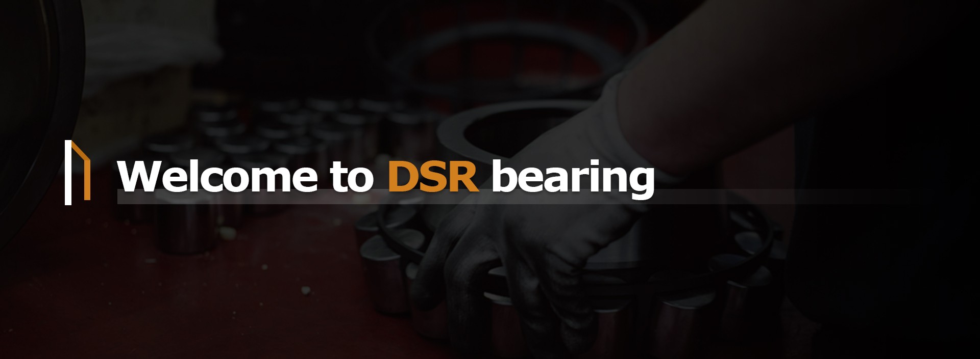 Welocme to DSR bearing