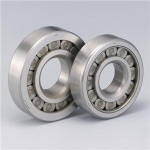 Cylindrical Roller Bearing Inch Series NUP311
