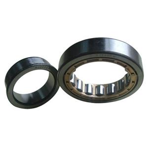 Cylindrical Roller Bearing Types NJ2210