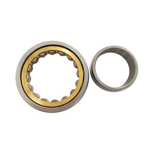 Cylindrical Roller Bearing Manufacturers N213